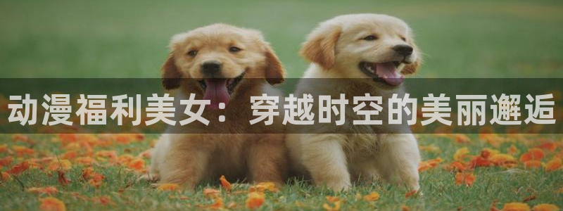 omofun最新